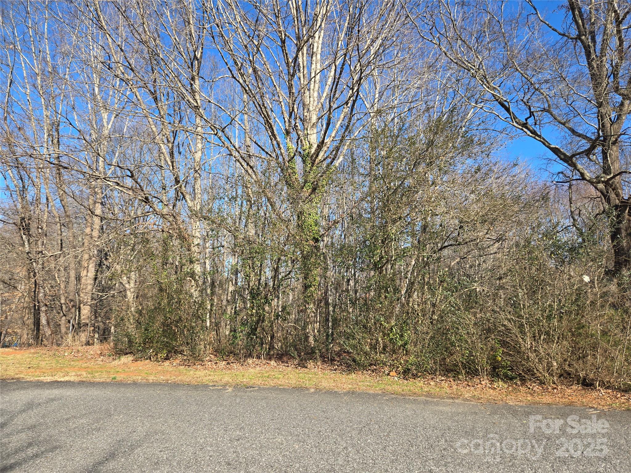 136 Walking Horse Run 19 Property Photo 1