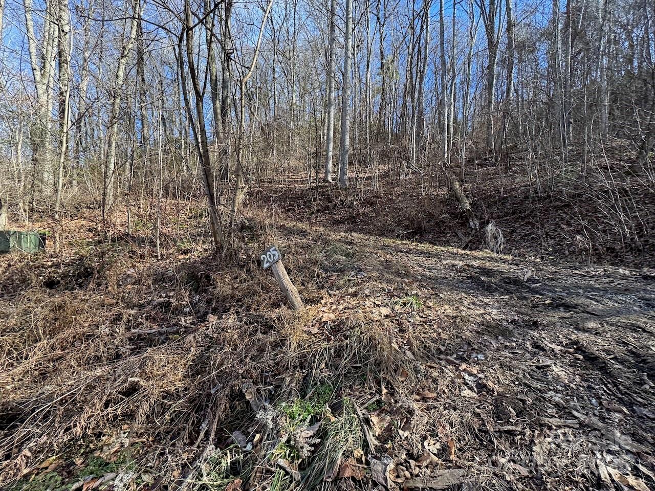 Tbd Glen Valley Way 187,200,205,206,207 Property Photo 10