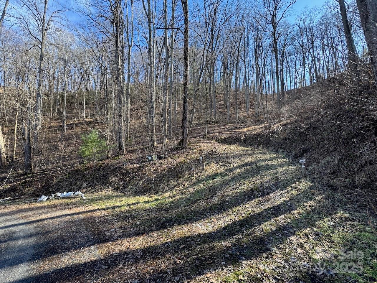 Tbd Glen Valley Way 187,200,205,206,207 Property Photo 15