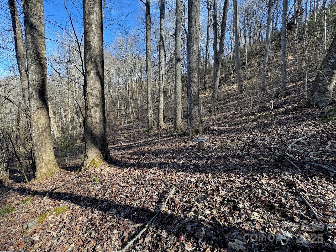 Tbd Glen Valley Way 187,200,205,206,207 Property Photo 16