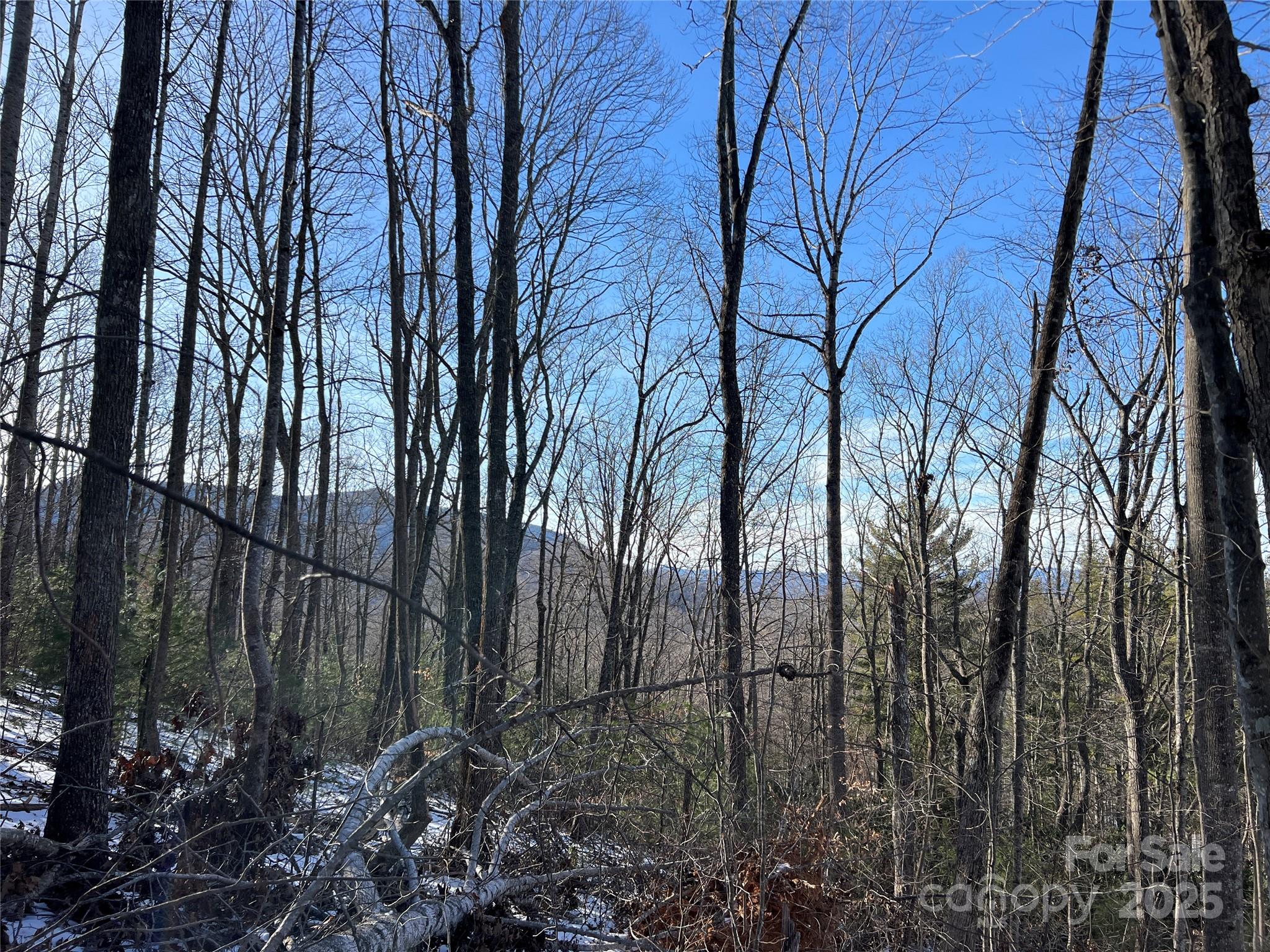 Tbd (lot 8) Woodland Ridge Property Photo