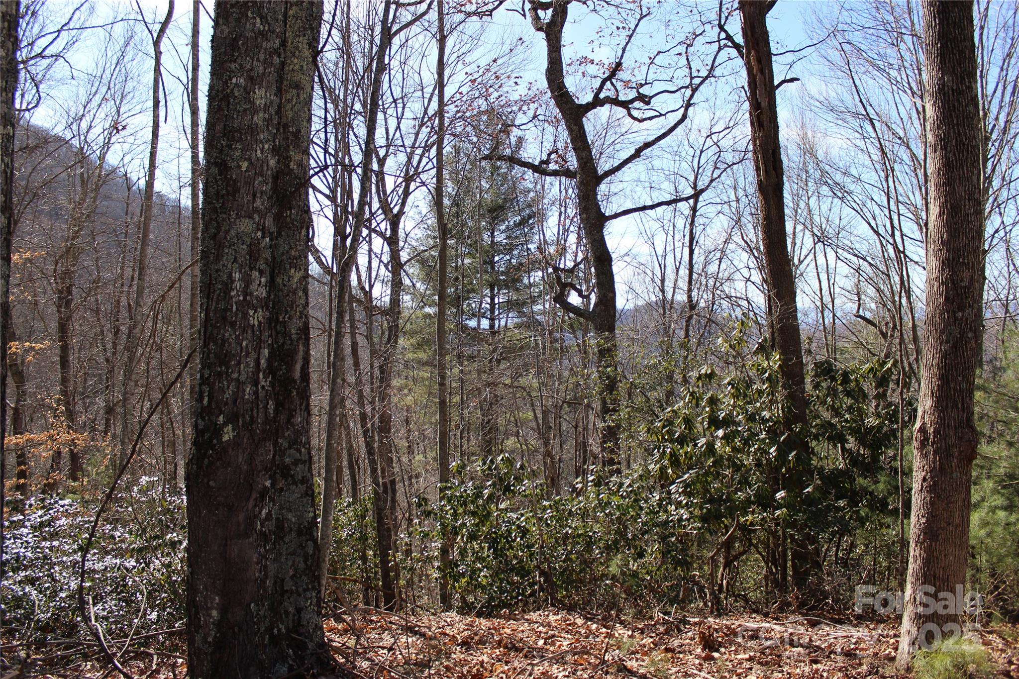 444 Poplar Path Property Photo