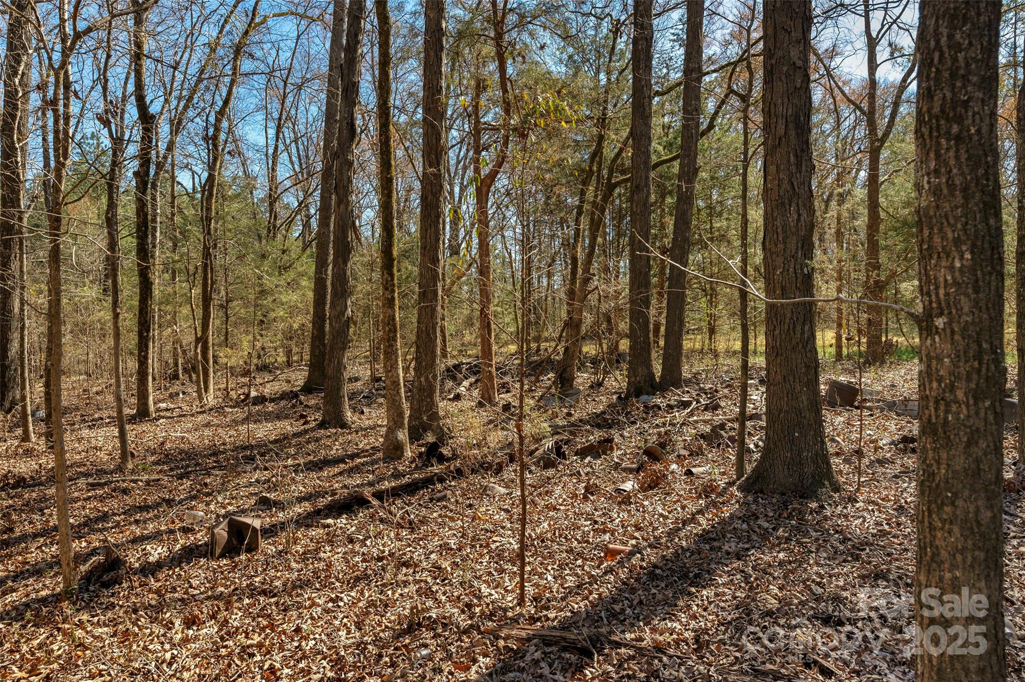 0000 Orrs Station Road Property Photo 6