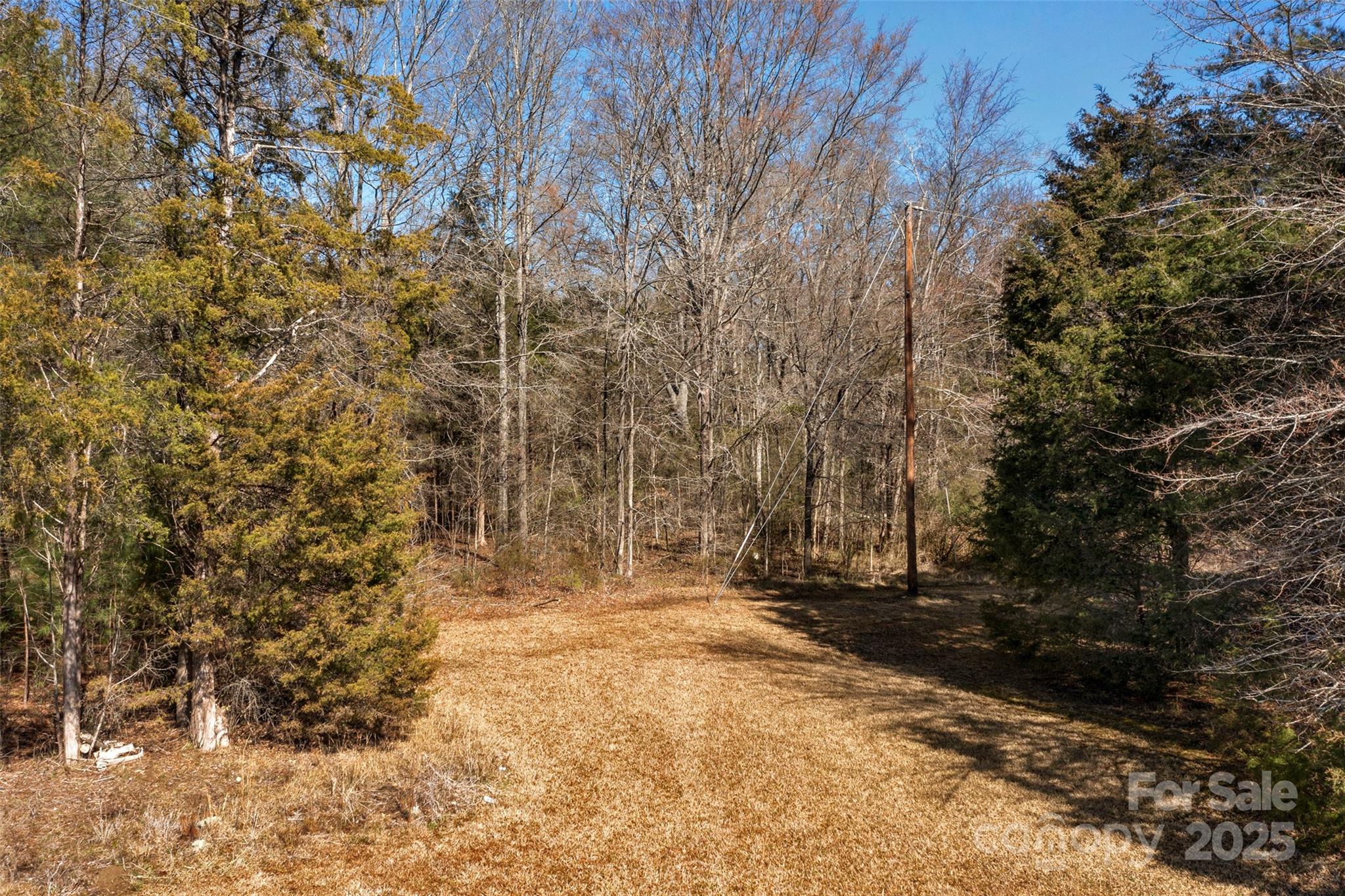 0000 Orrs Station Road Property Photo 8