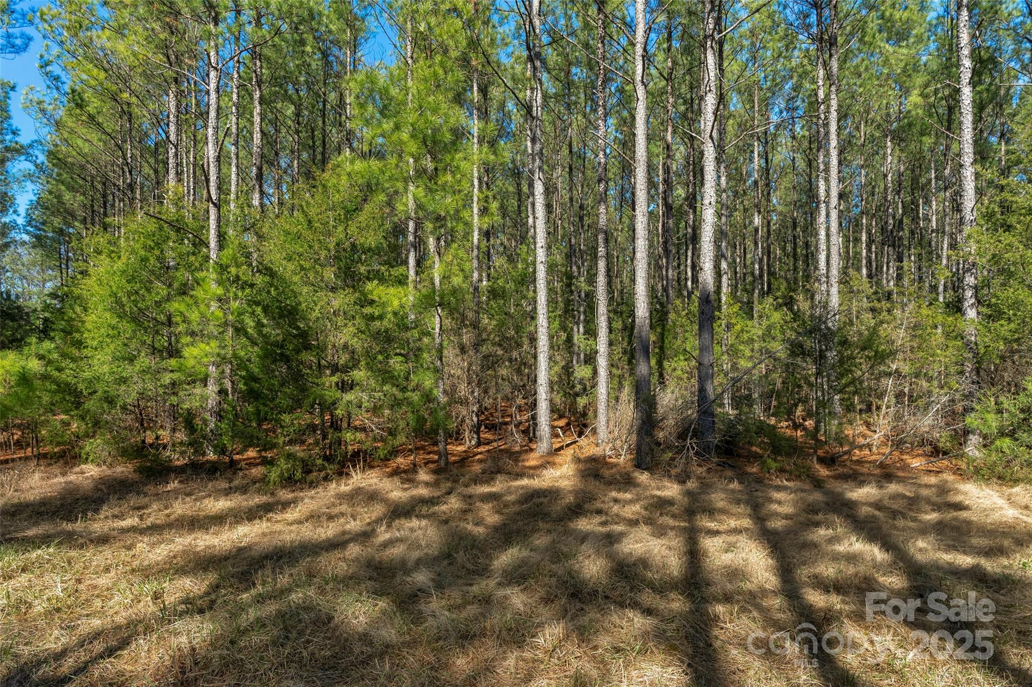 0000 Orrs Station Road Property Photo 31