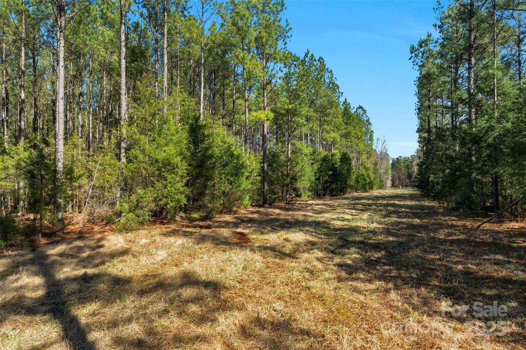 0000 Orrs Station Road Property Photo 32