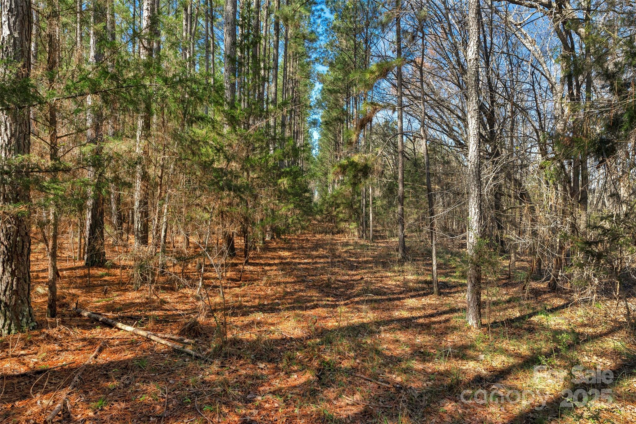 0000 Orrs Station Road Property Photo 33