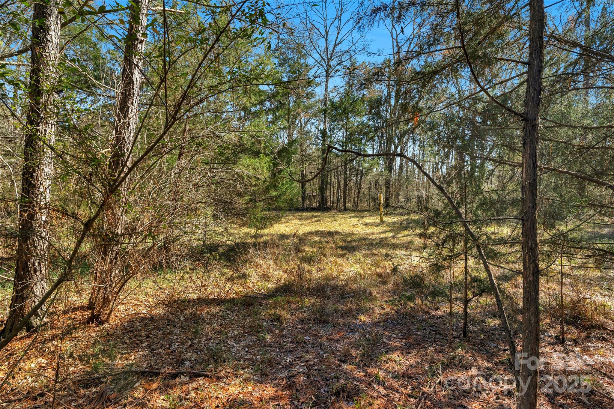 0000 Orrs Station Road Property Photo 34