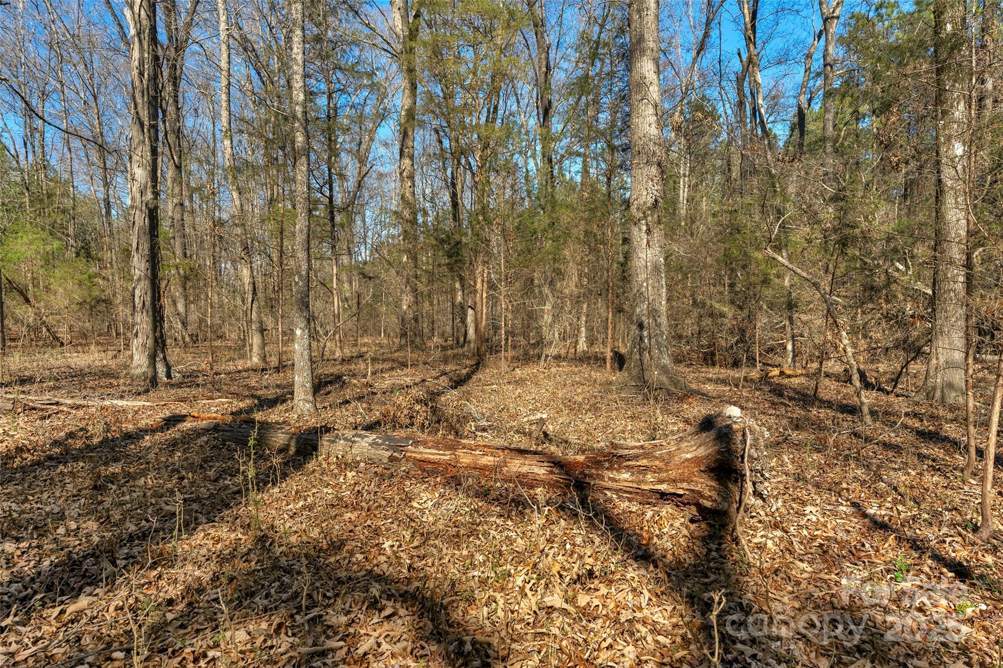 0000 Orrs Station Road Property Photo 35