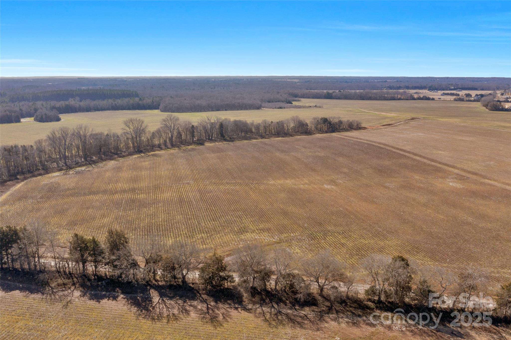 1092 Milling Road 5 Property Photo 12