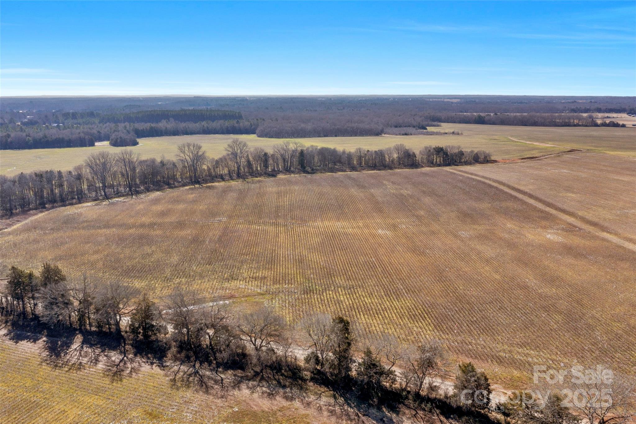 1092 Milling Road 5 Property Photo 13