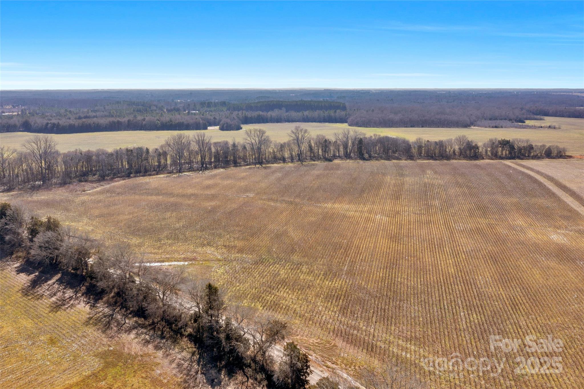 1092 Milling Road 5 Property Photo 14