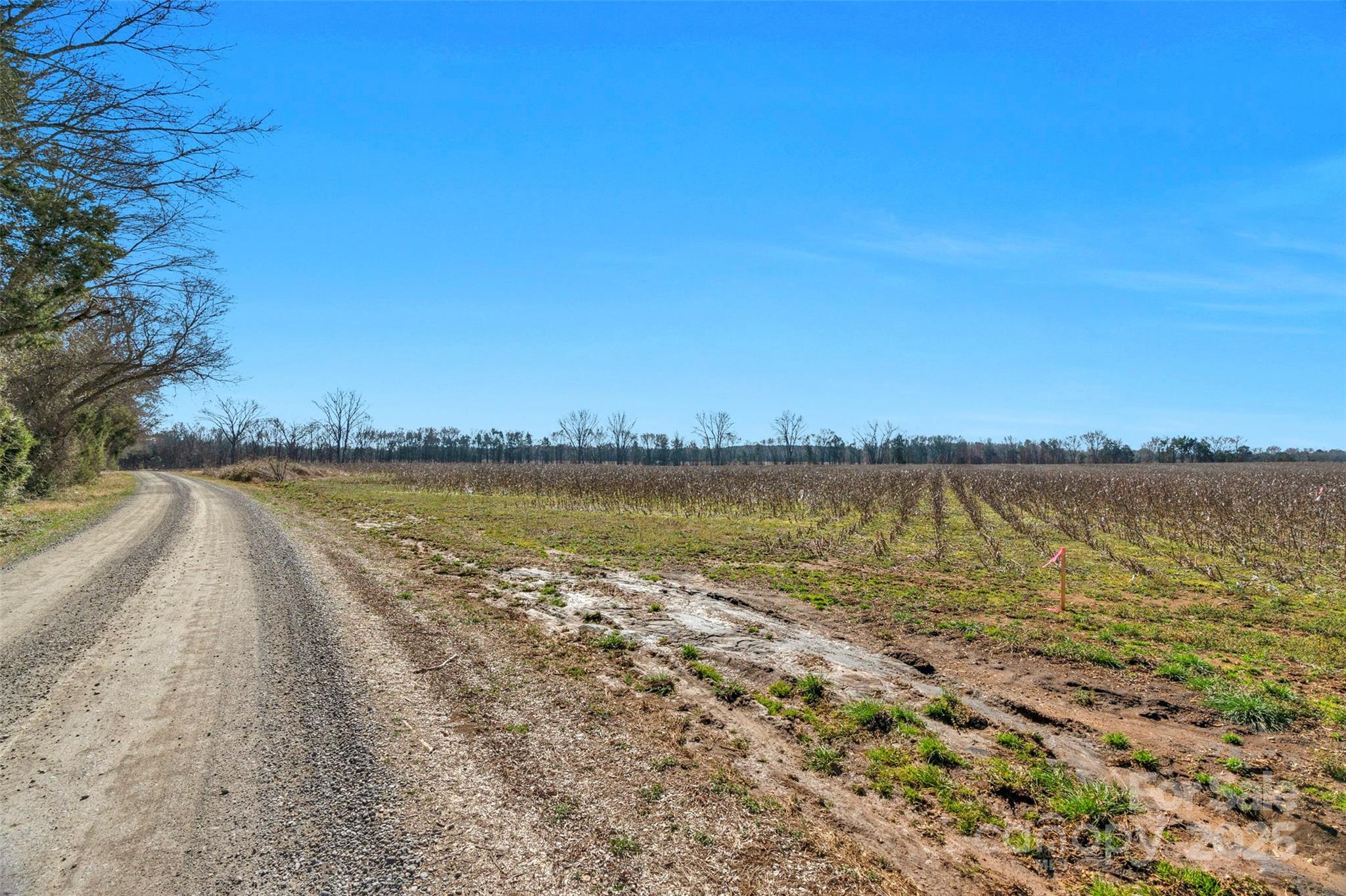 1092 Milling Road 5 Property Photo 23
