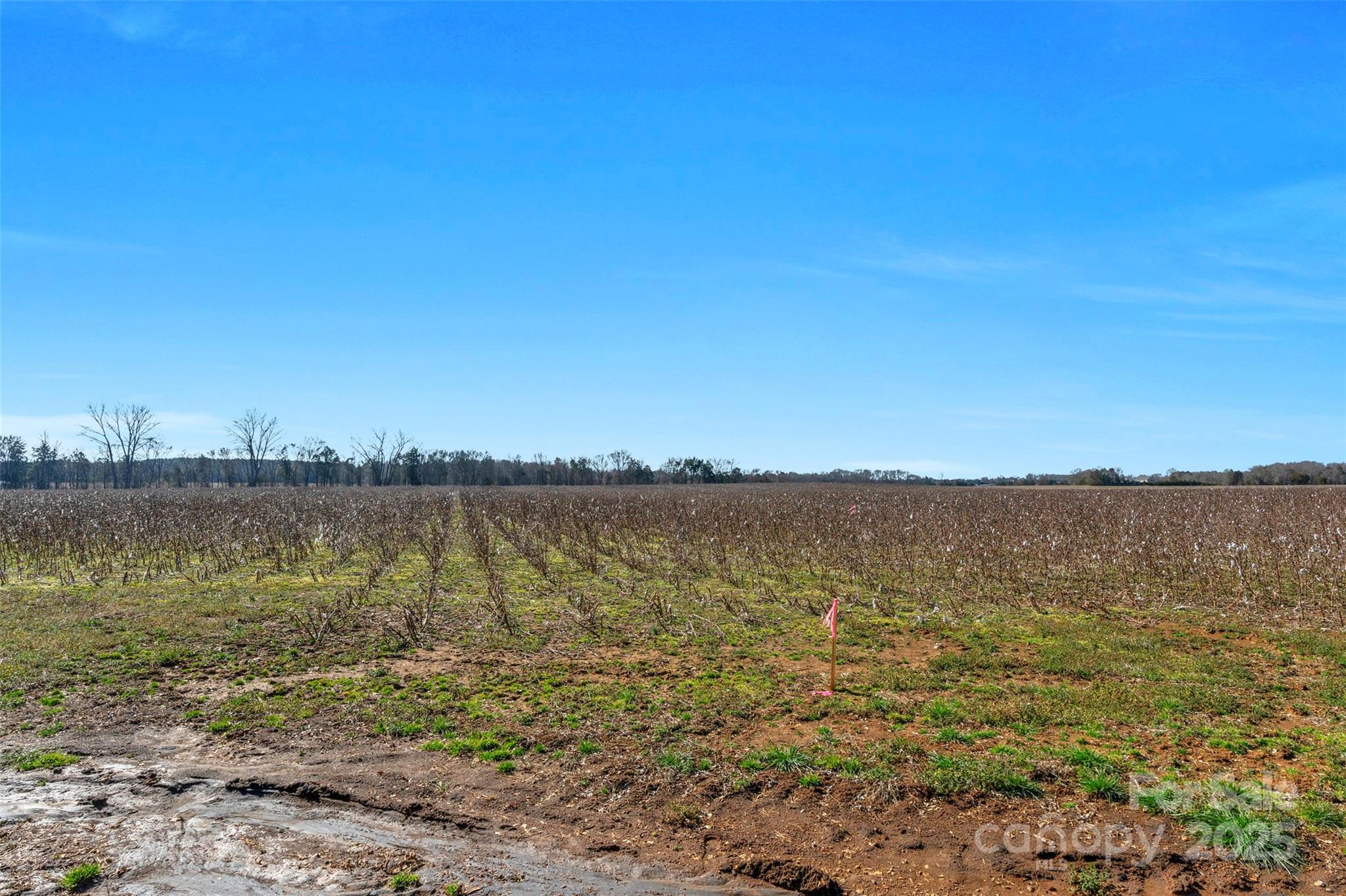 1092 Milling Road 5 Property Photo 24