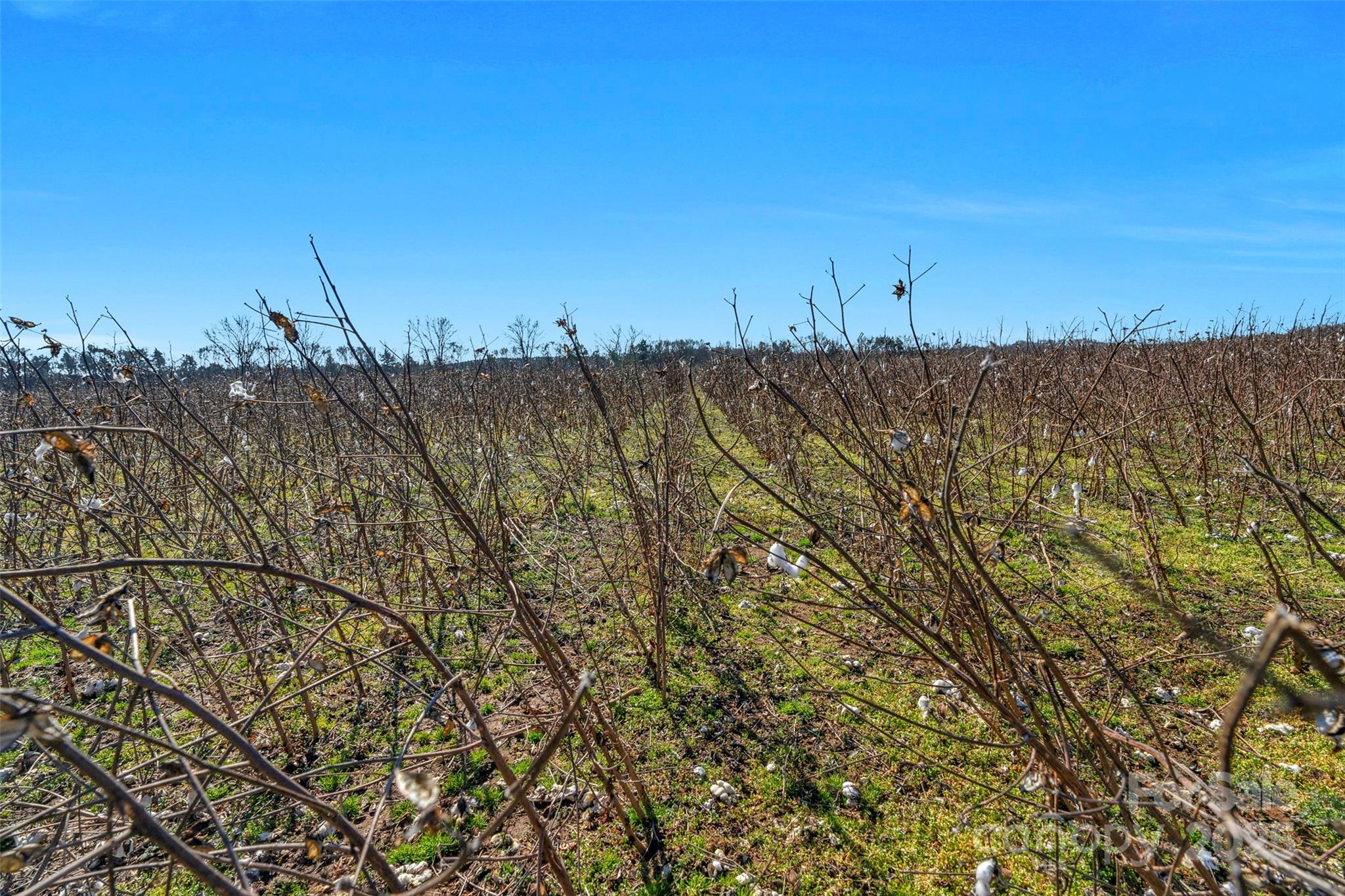 1092 Milling Road 5 Property Photo 25