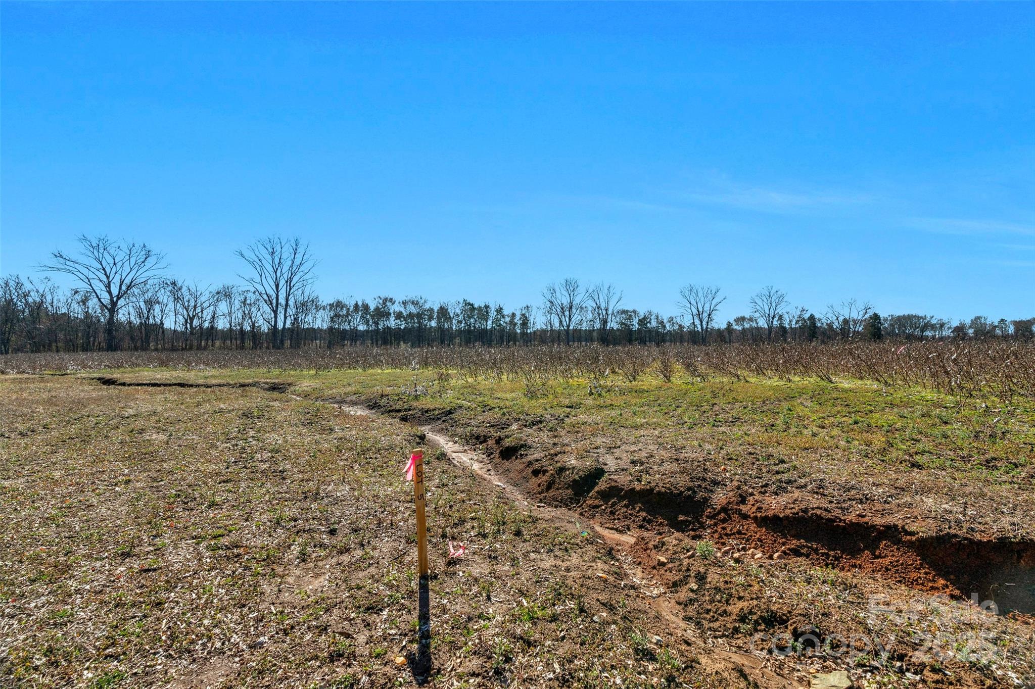 1092 Milling Road 6 Property Photo 19