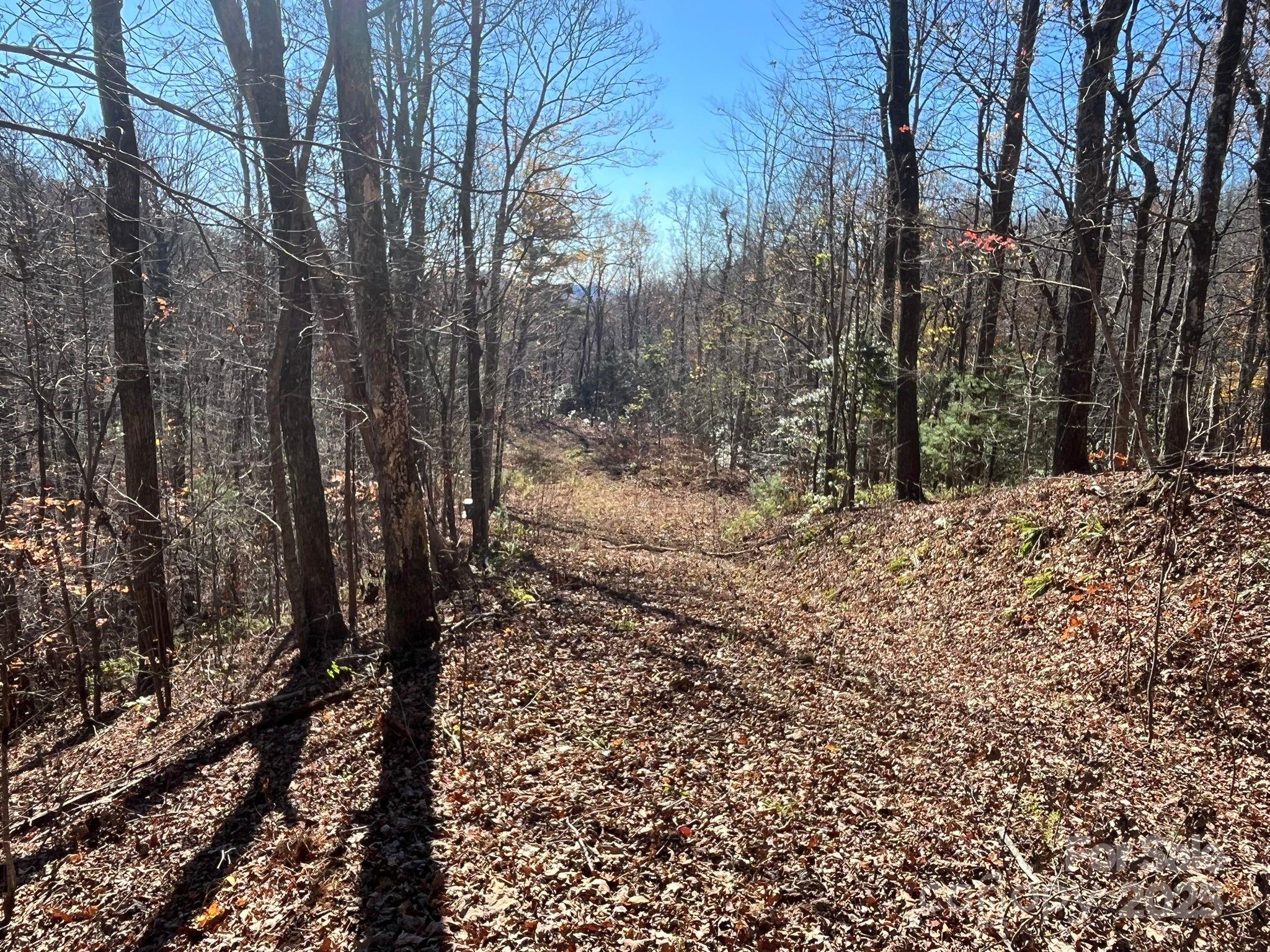 Tbd Eastatoe Gap Road 10 Property Photo