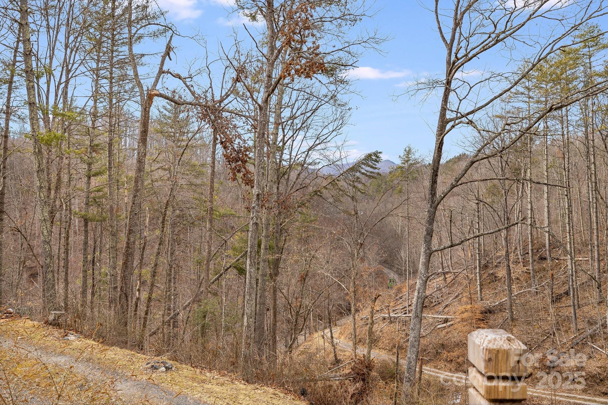 1185 Roses Branch Road Property Photo 24
