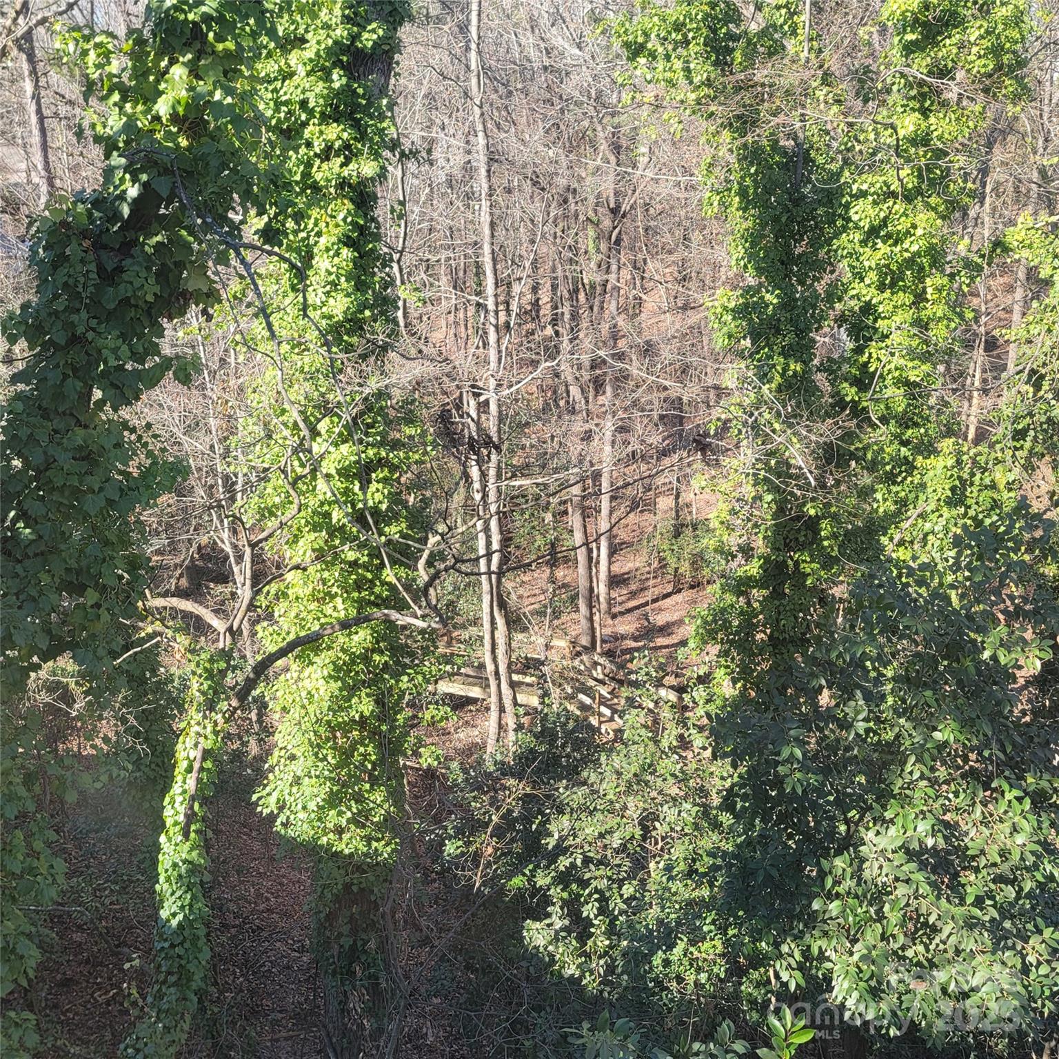 4066 Triton Drive Property Photo 28