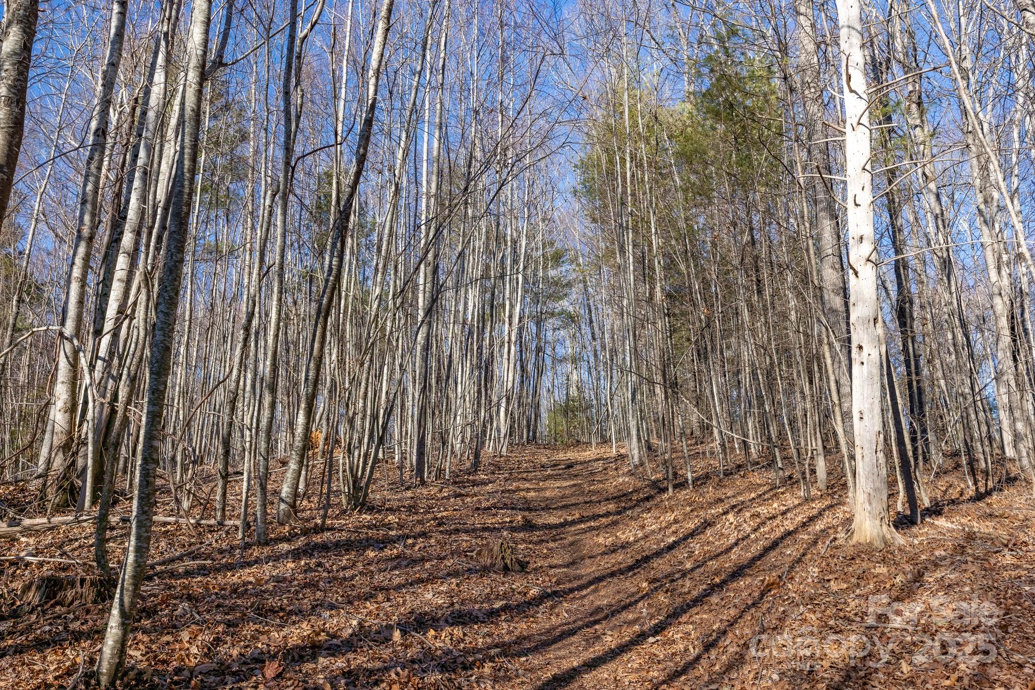 Tbd Highway 221 Road Property Photo