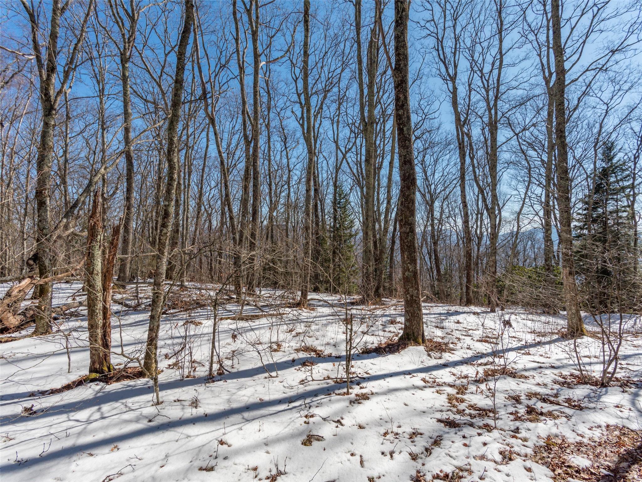 99999 Spruce Patch Lane Property Photo