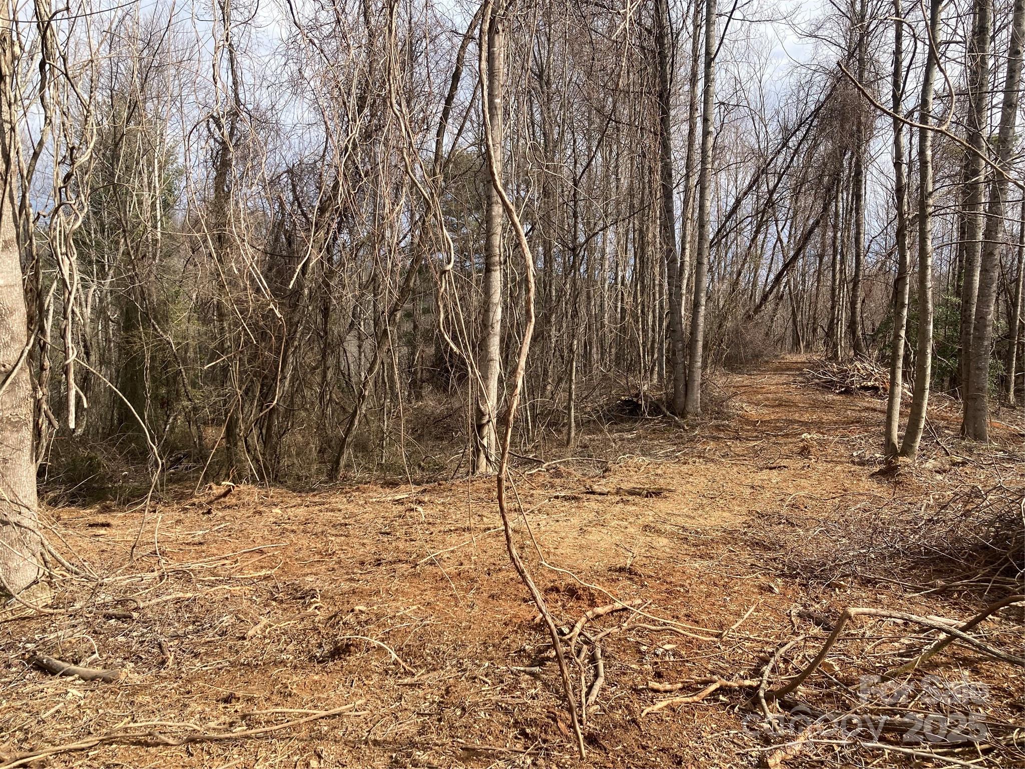 1638 Continental Divide Road 1 Property Photo 6