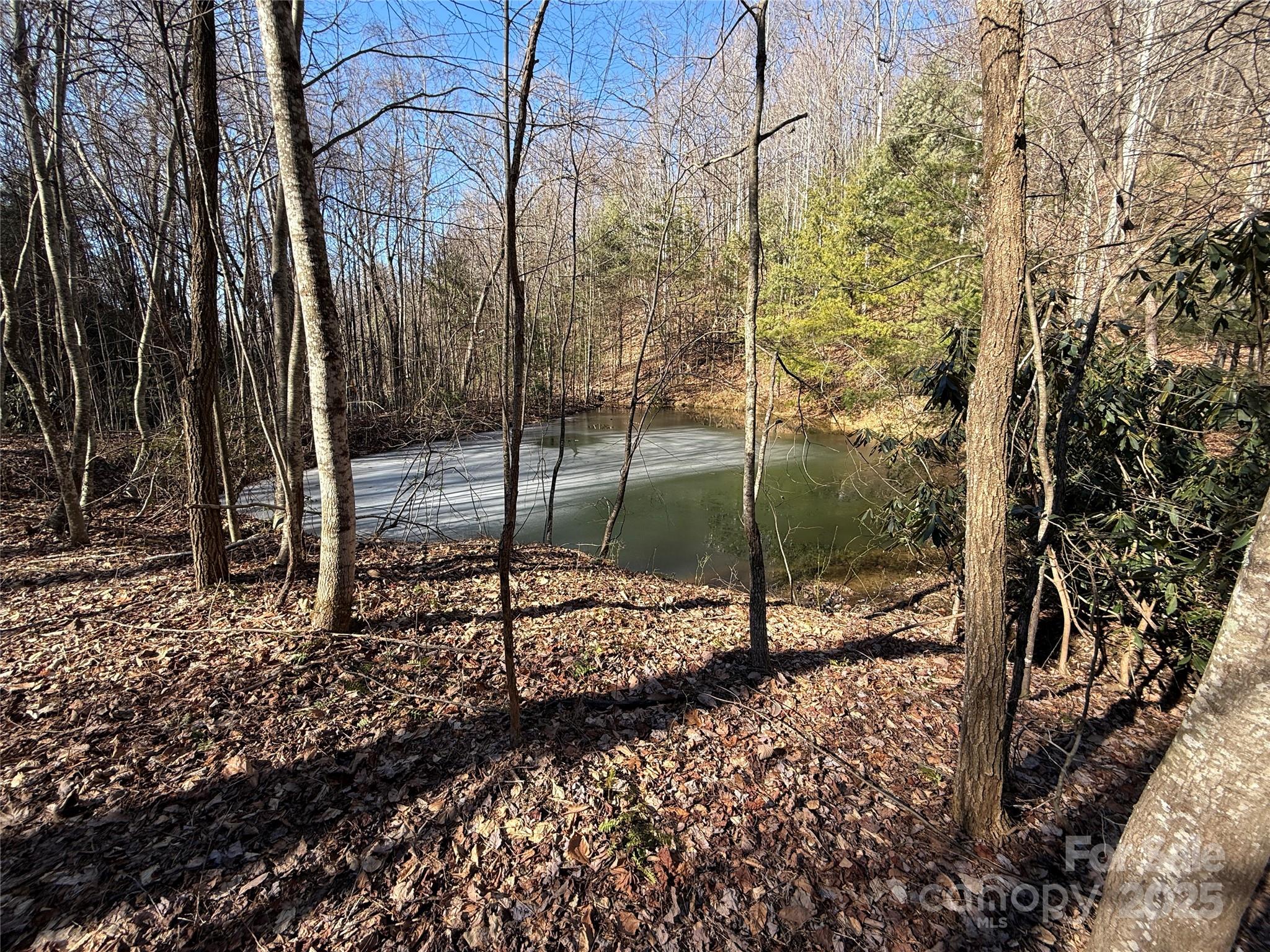 Tbd Casey Mountain Road 222b Property Photo