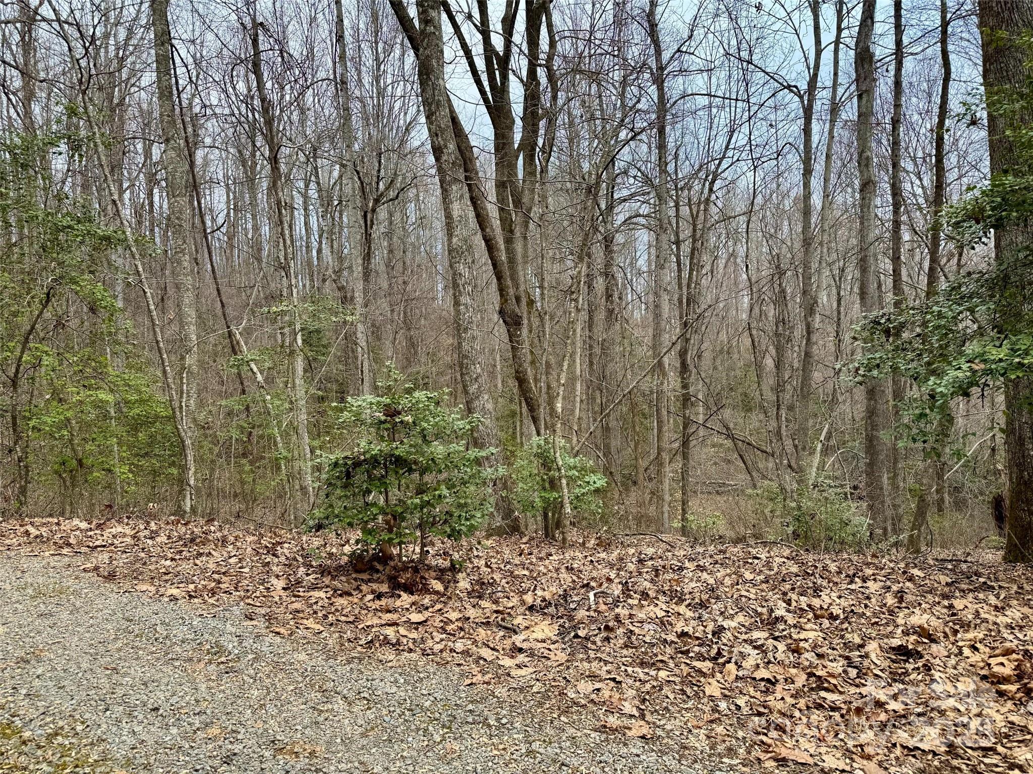 000 Orchard Mountain Road Property Photo
