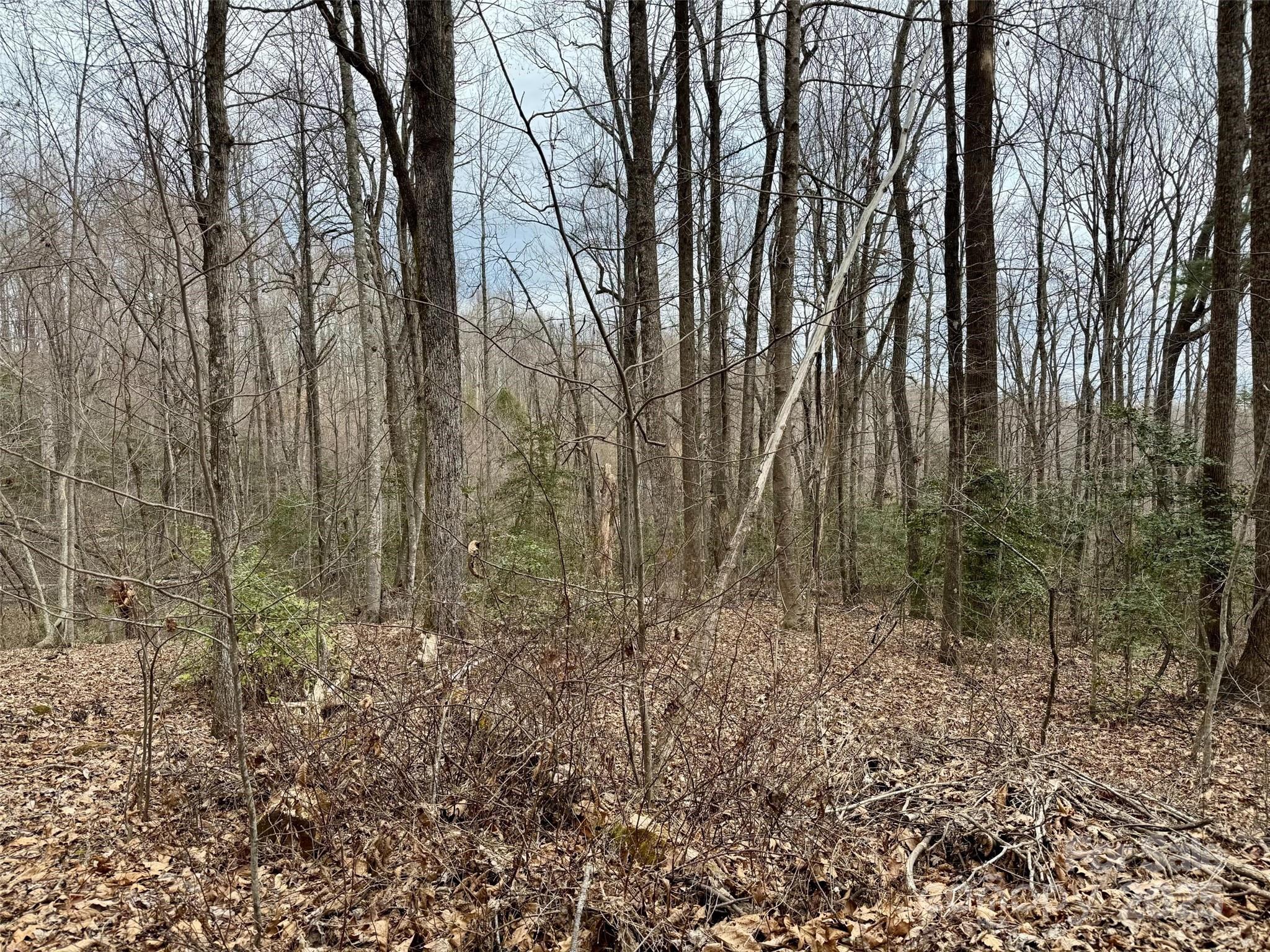 000 Orchard Mountain Road Property Photo 4