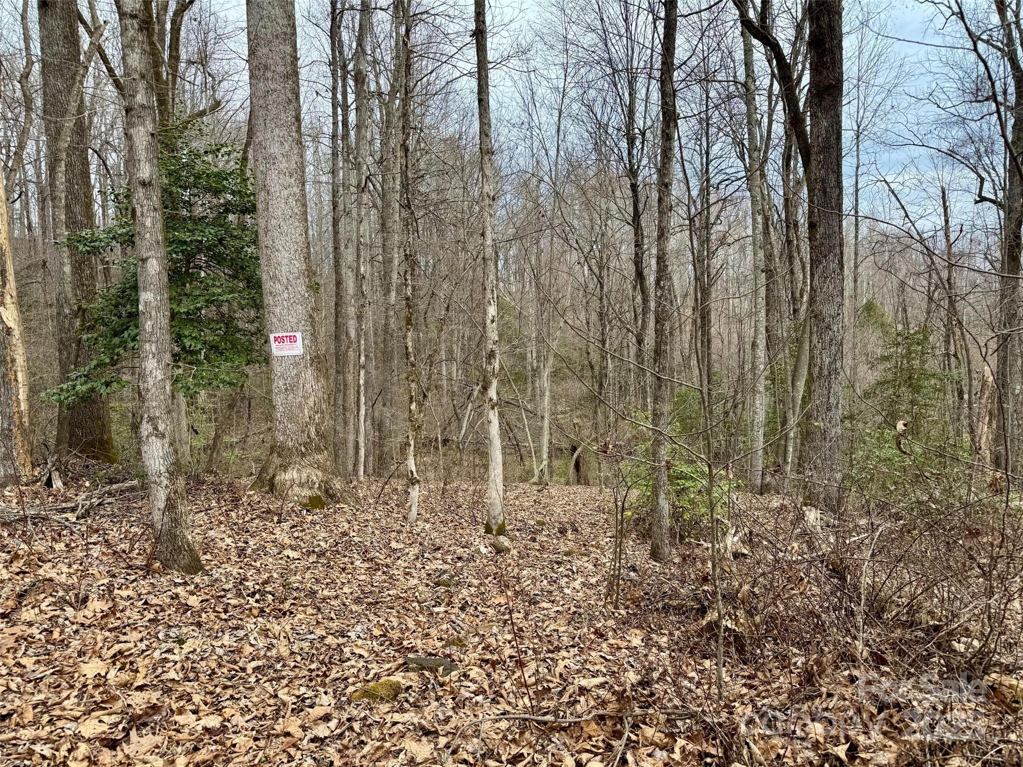 000 Orchard Mountain Road Property Photo 5