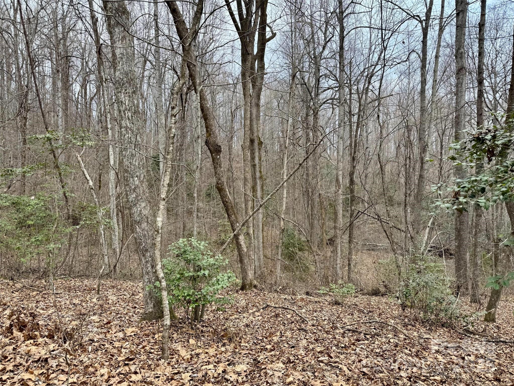 000 Orchard Mountain Road Property Photo 7