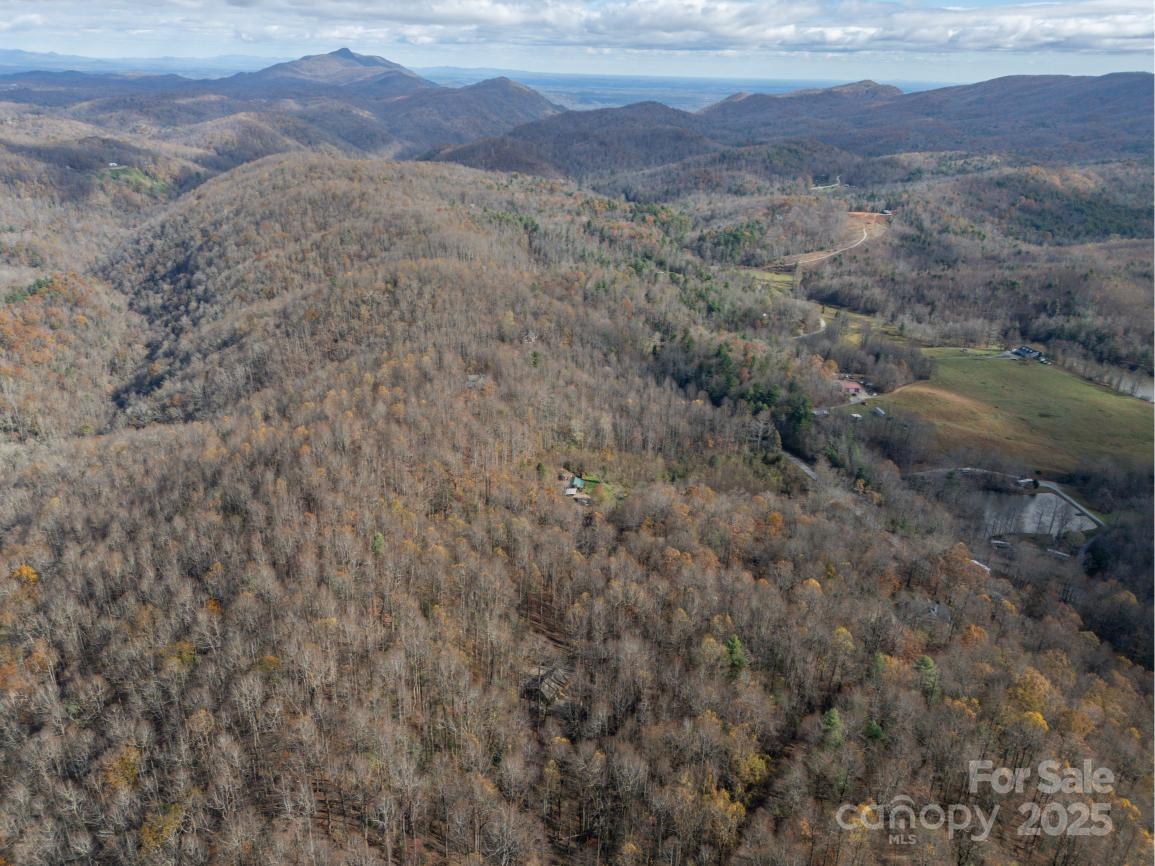 000 Orchard Mountain Road Property Photo 11