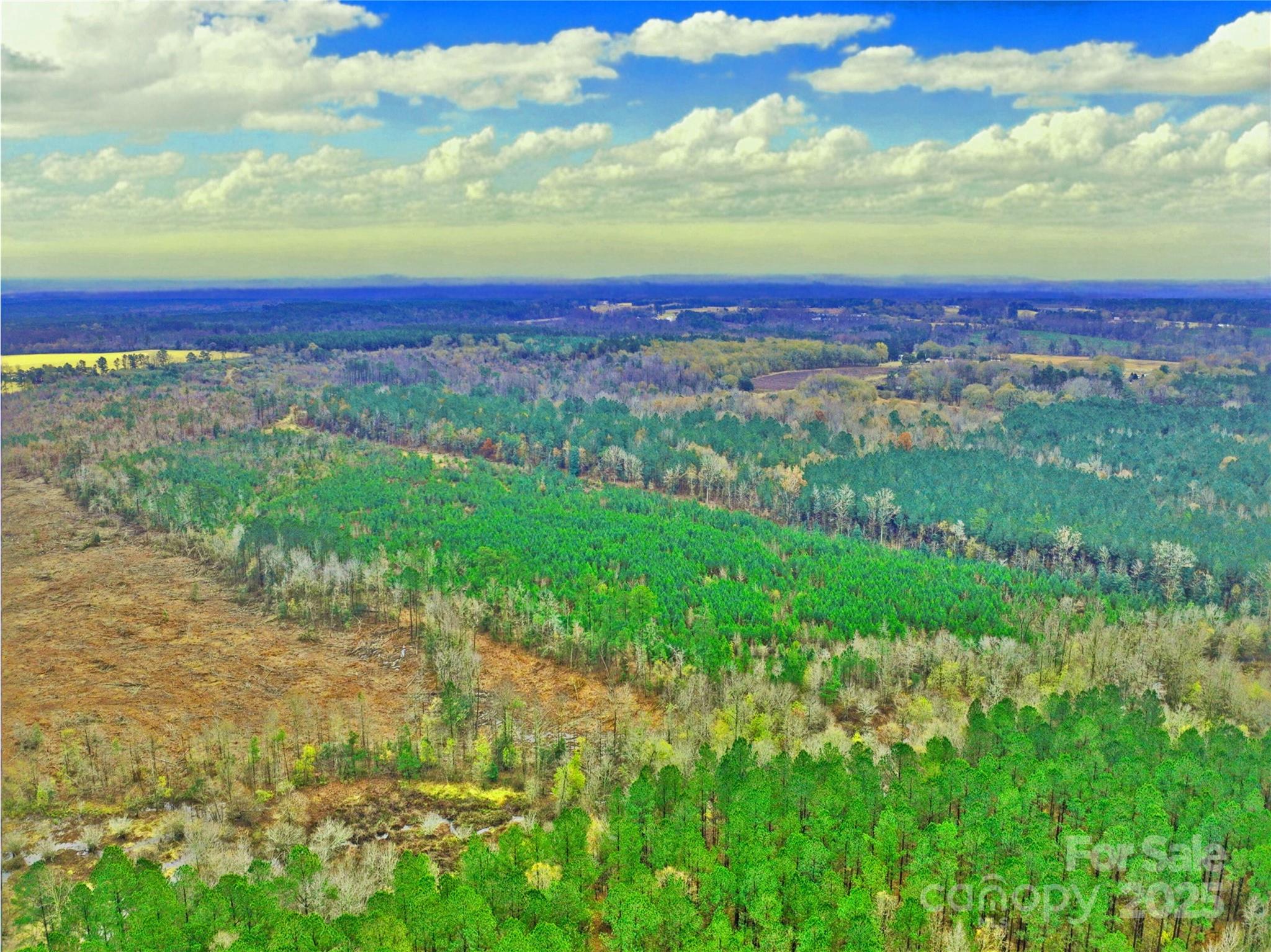 0 Jones Springs Church Road Property Photo 3
