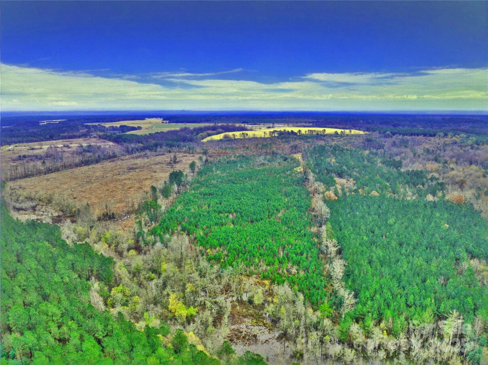 0 Jones Springs Church Road Property Photo 4