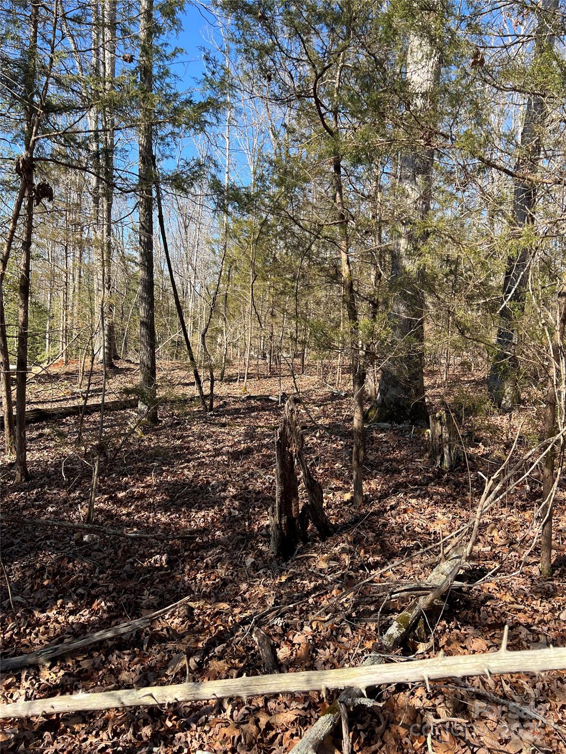 00 Treaty Point Drive 10 Property Photo