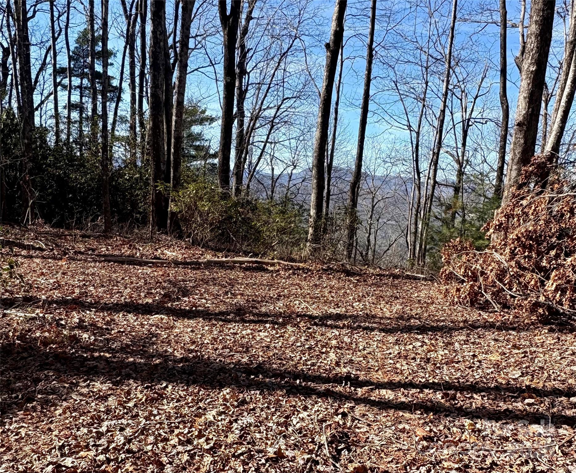 Lot #13 Devils Hole Road 13 Property Photo 2