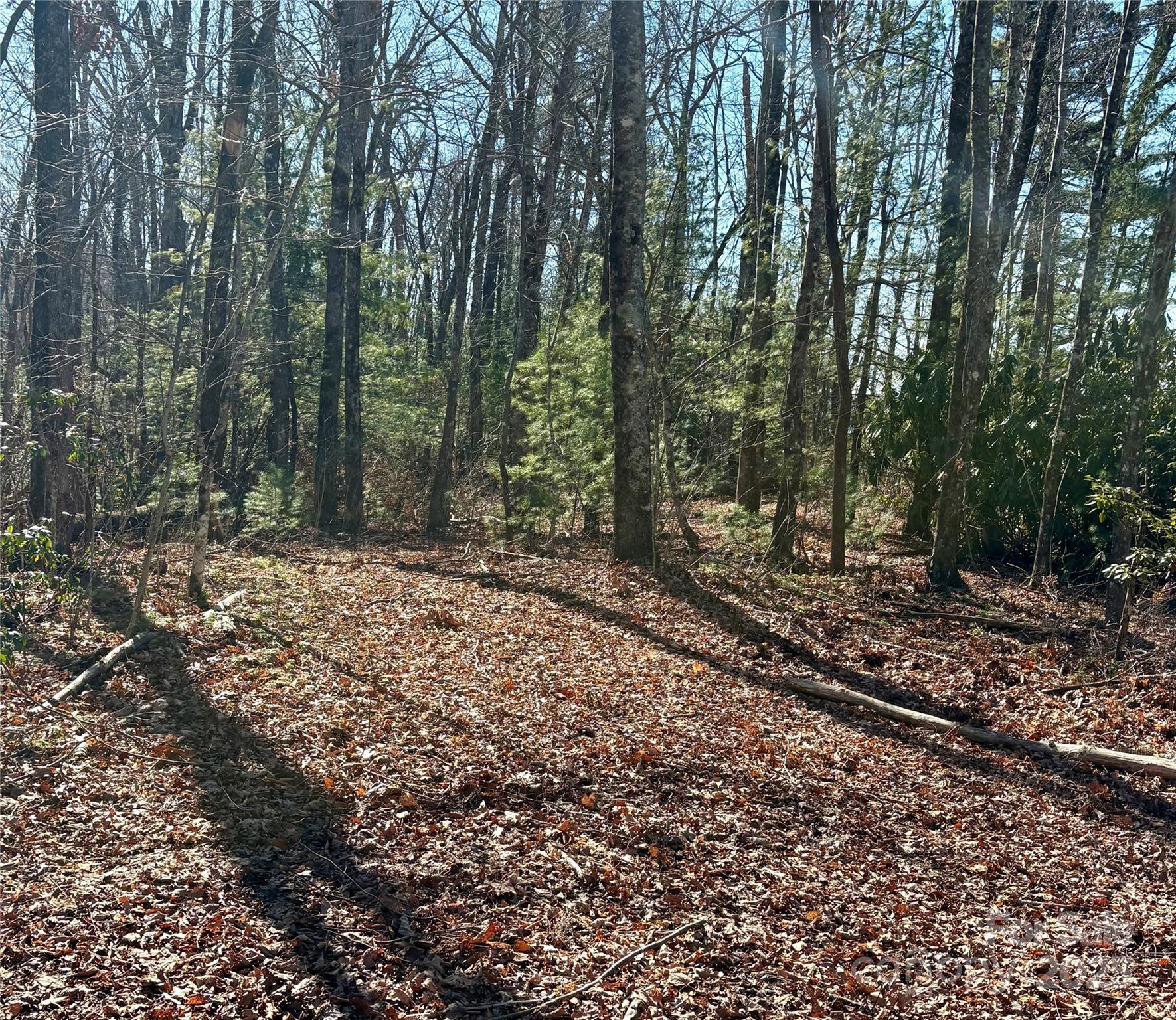 Lot #13 Devils Hole Road 13 Property Photo 3