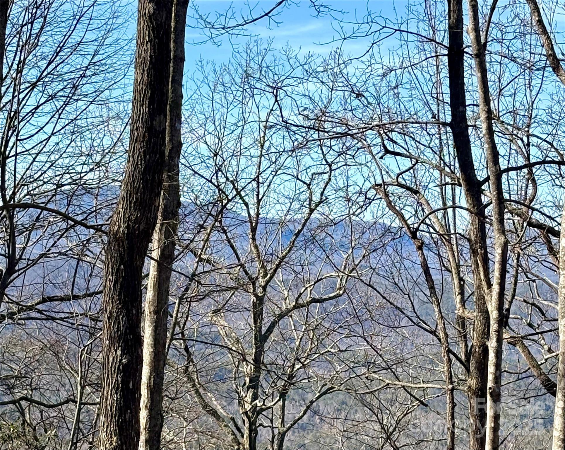 Lot #13 Devils Hole Road 13 Property Photo 4