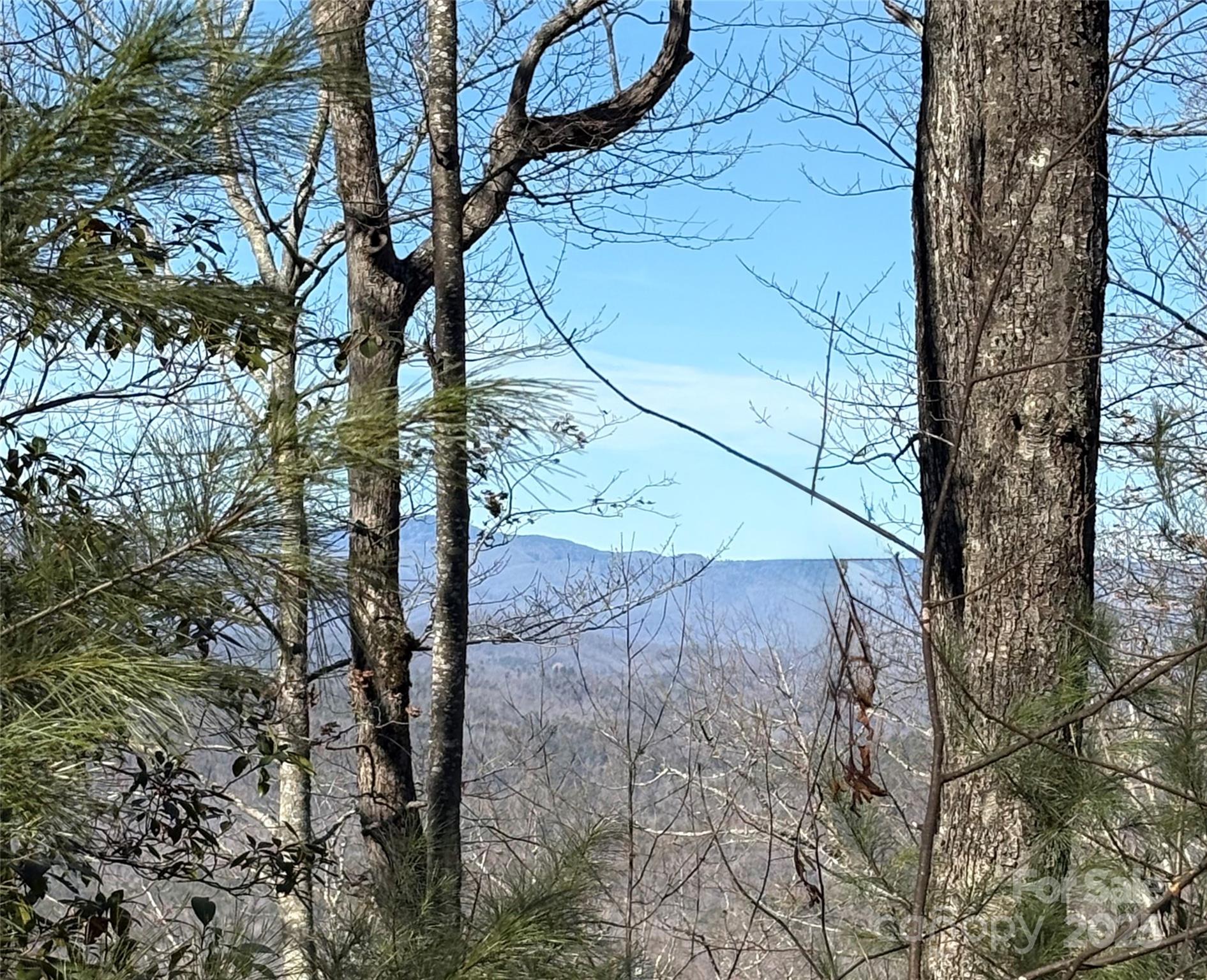 Lot #13 Devils Hole Road 13 Property Photo 5