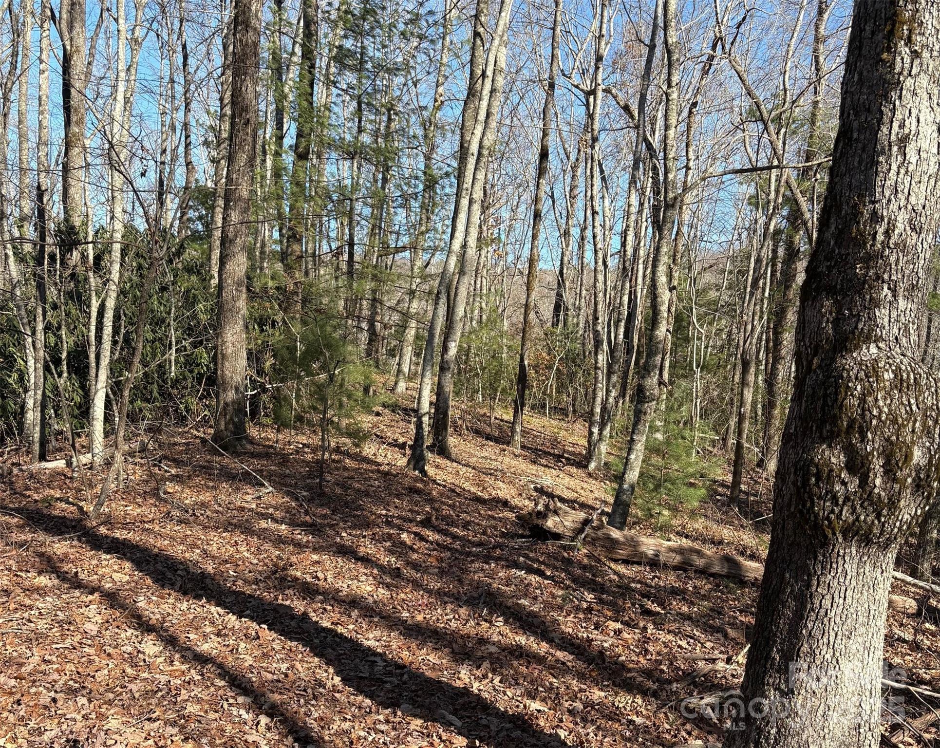 Lot #13 Devils Hole Road 13 Property Photo 6