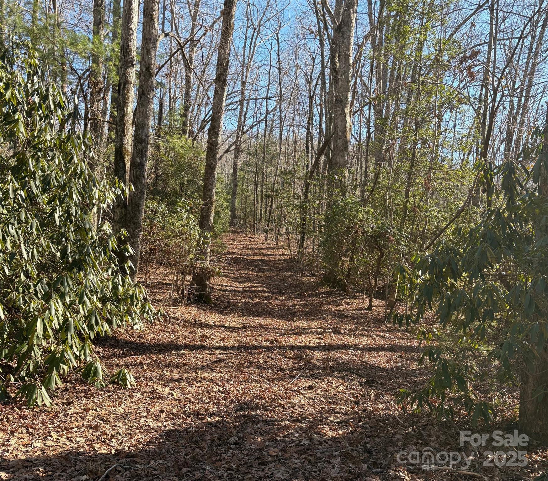 Lot #13 Devils Hole Road 13 Property Photo 7