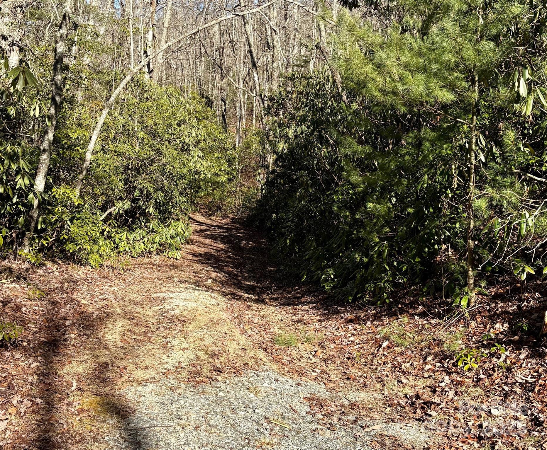 Lot #13 Devils Hole Road 13 Property Photo 8