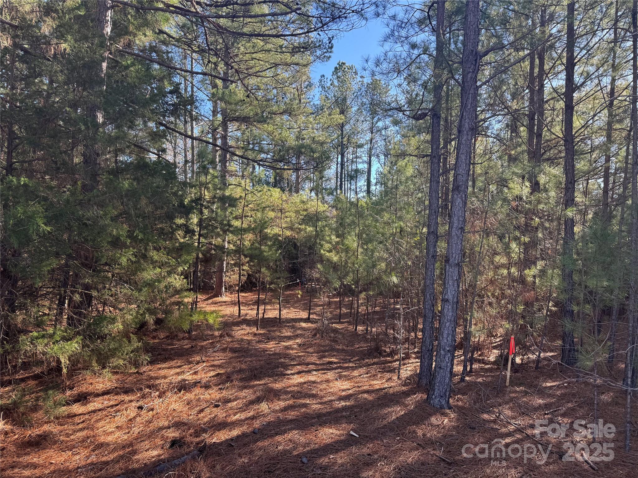 1843 Bechtler Road Property Photo