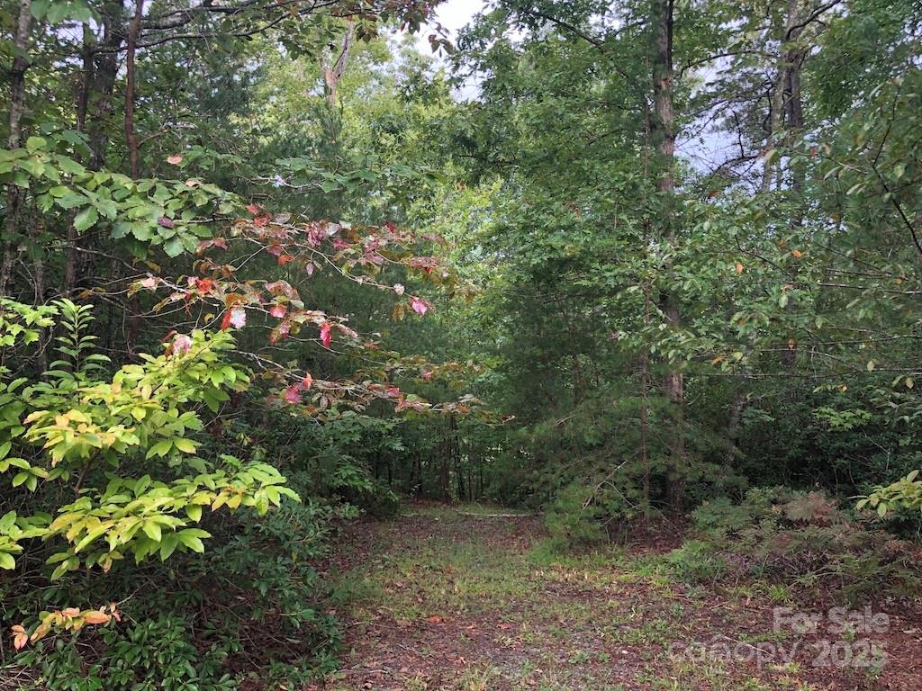 81 N Mill Ridge Property Photo