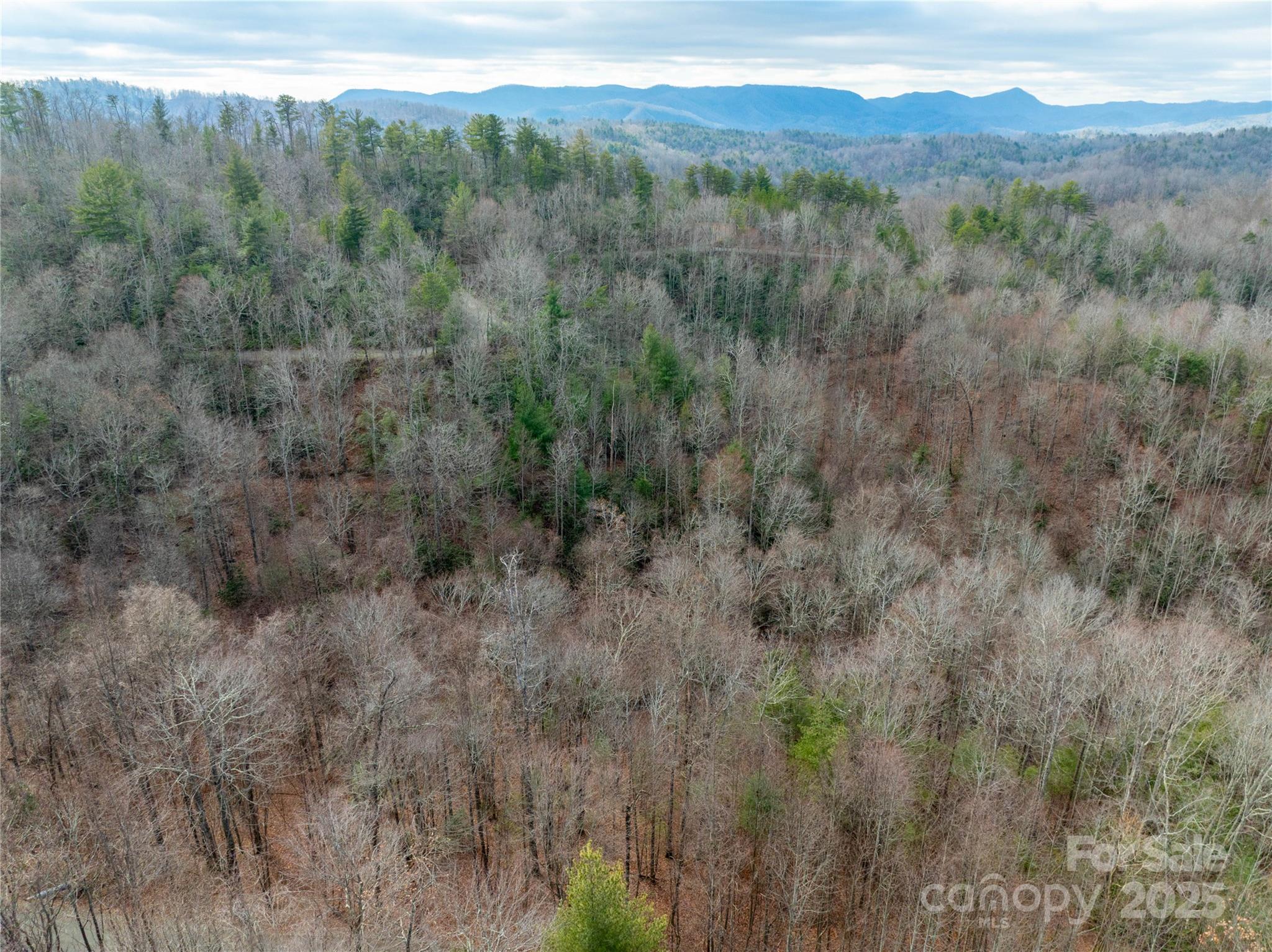 Lot 23 Green Ridge Road 23 Property Photo 4