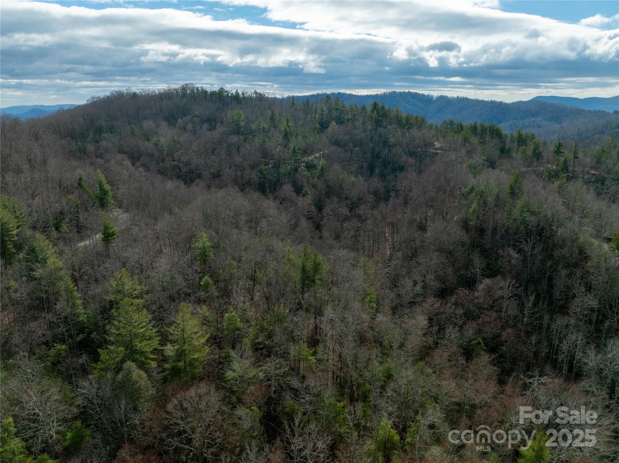 Lot 23 Green Ridge Road 23 Property Photo 26