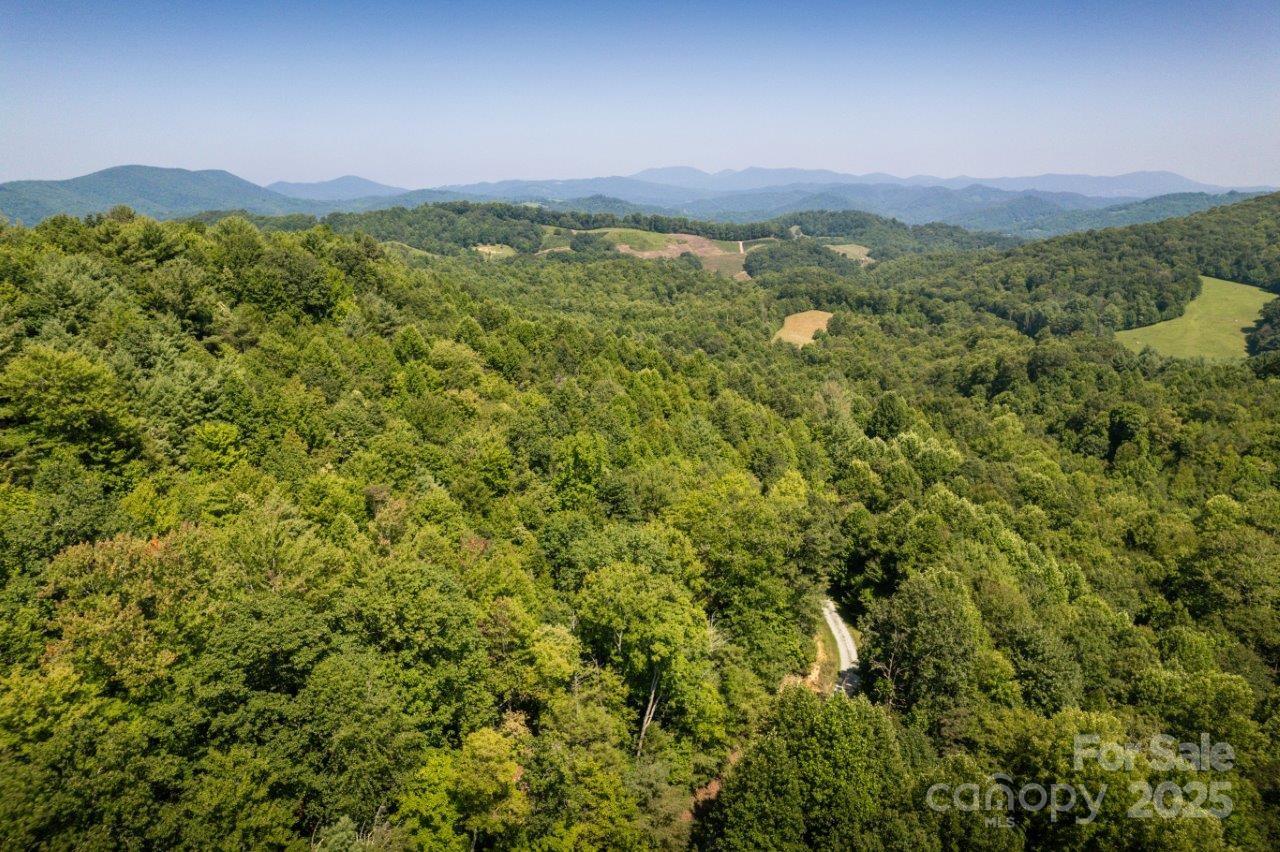Tbd Flat Springs Road Property Photo 6