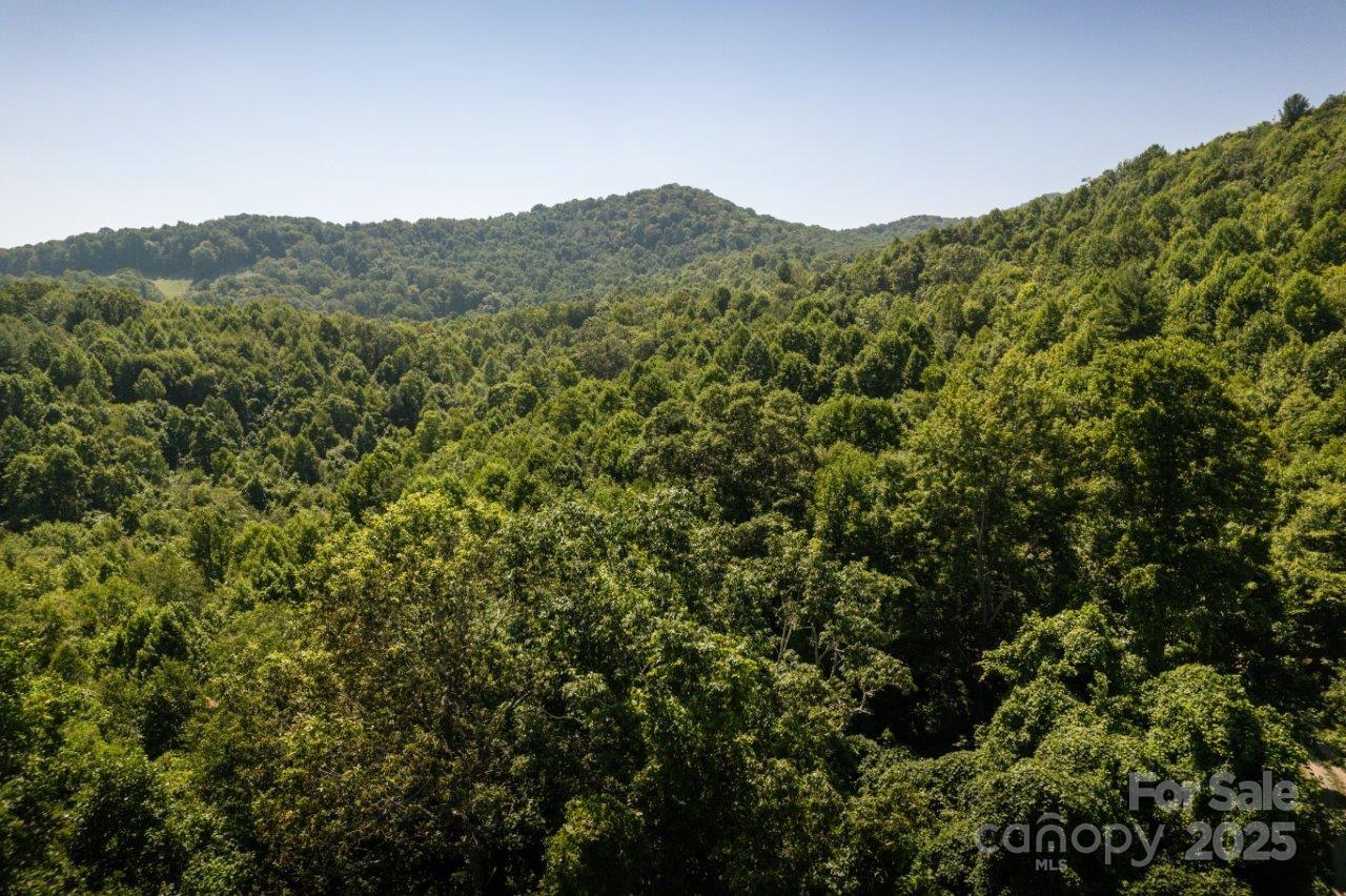 Tbd Flat Springs Road Property Photo 8