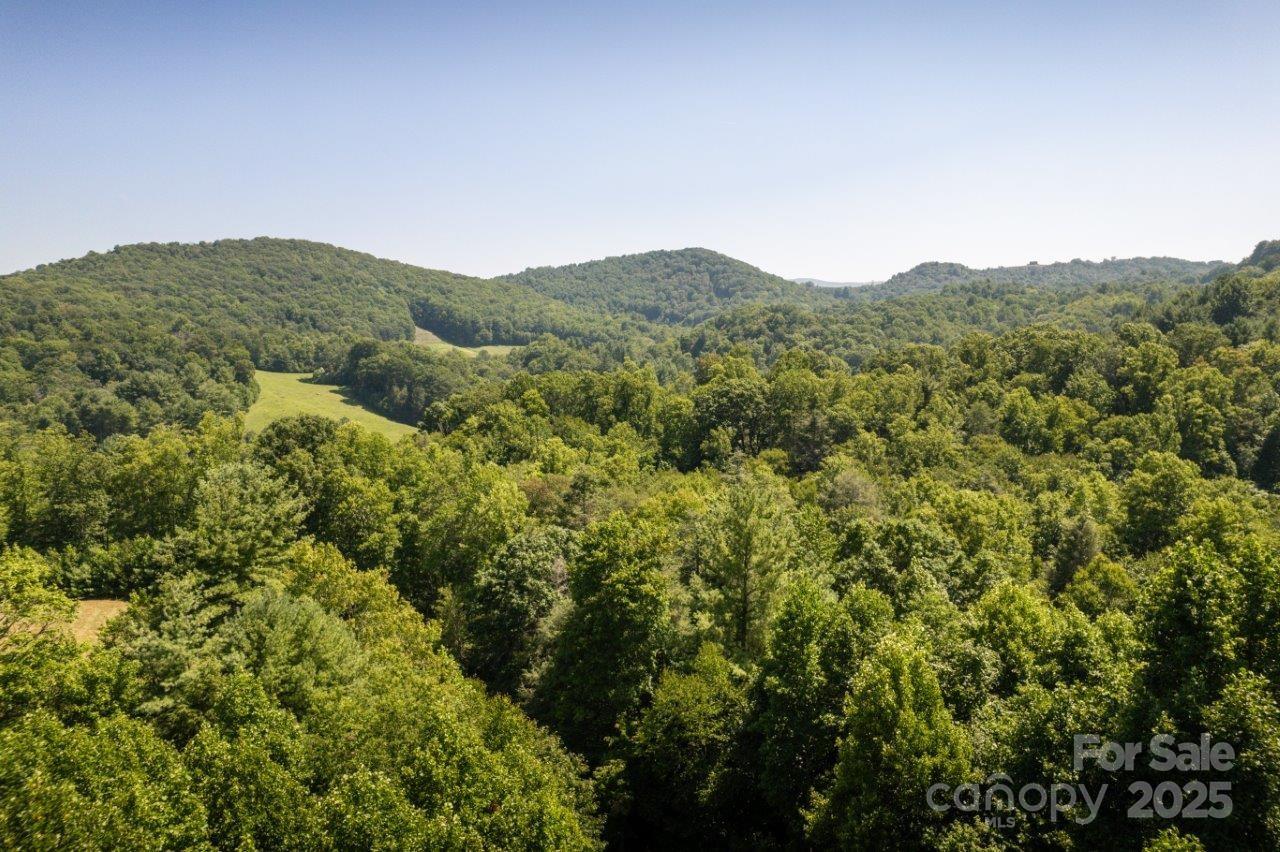 Tbd Flat Springs Road Property Photo 9