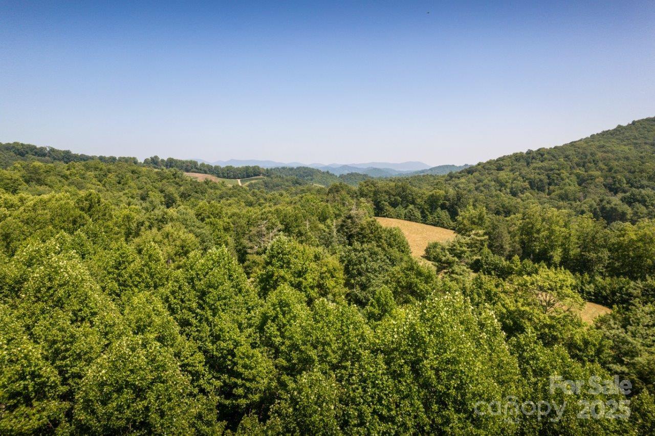 Tbd Flat Springs Road Property Photo 10